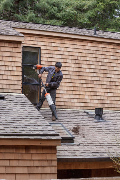 man leaf blowing roof