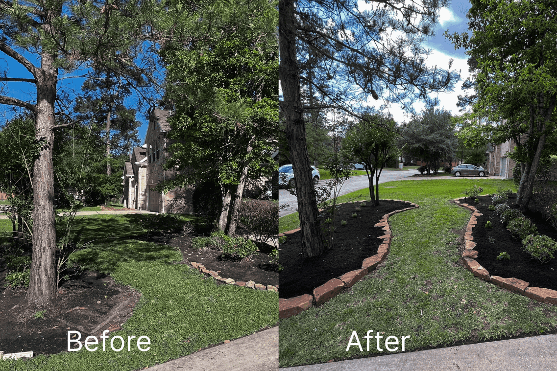 frontyard landscaping