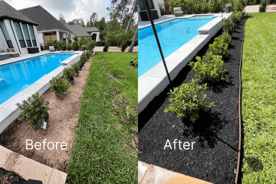 poolside plant installation